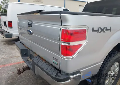 2010 Ford F-150 из США, поврежденный, VIN 1FTFW1EVXAFB54135